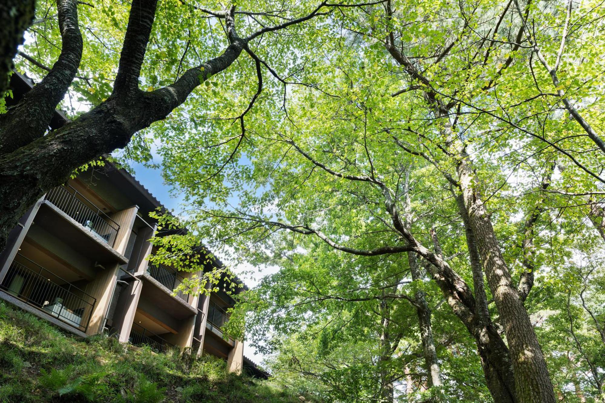 Laforet Shuzenji Sanshisuimei อิซุ ภายนอก รูปภาพ